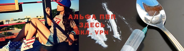 хмурый Касимов