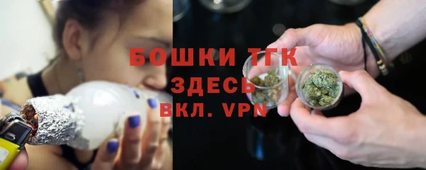 хмурый Касимов