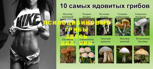 хмурый Касимов