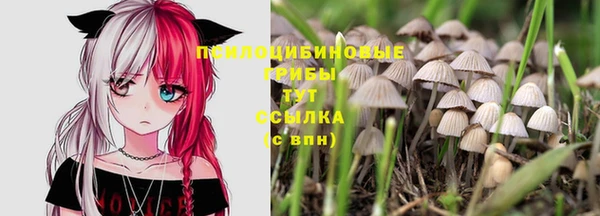 COCAINE Карпинск