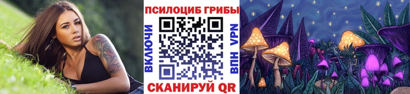 где найти наркотики  Усть-Катав  Псилоцибиновые грибы Magic Shrooms 